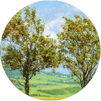 Pīlādzis