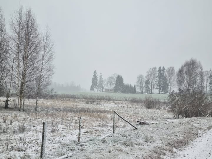 2.februars Dienas prognoze
